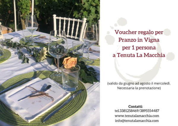 Regala un PRANZO IN VIGNA per 1 persona